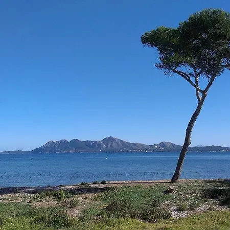 Pollentia Mar Puerto Pollensa